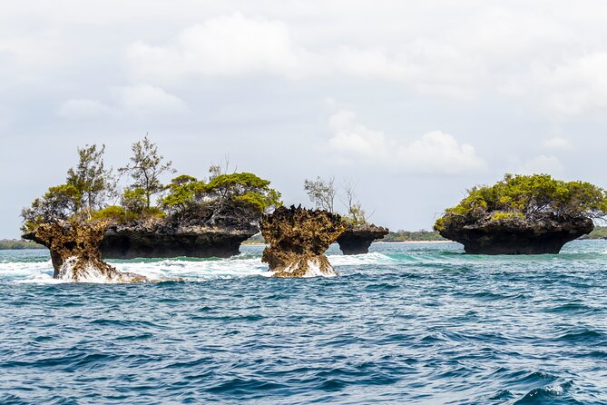 Dolphin Watch & Snorkeling at Kisite Marine Park & Wasini Island - What the $100 price really covers