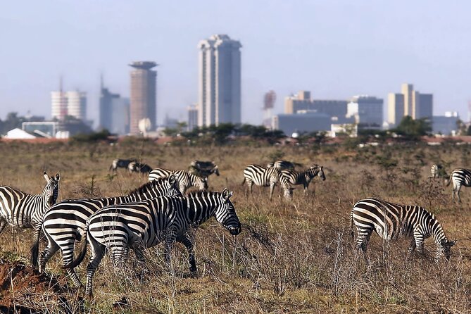 Early Morning Half Day Group Tour to Nairobi National Park - Three Hours Inside the Park