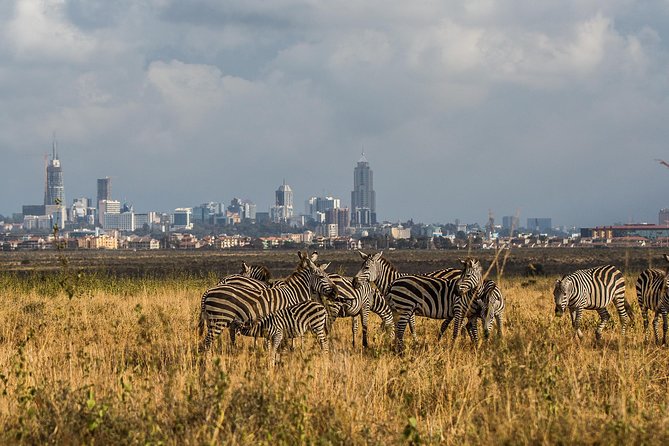 Early Nairobi Park Giraffe Centre and Optional Elephant Orphanage - Why the 6 a.m. start matters
