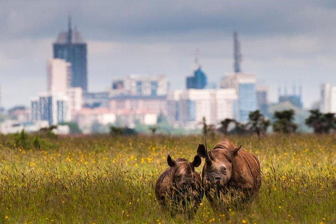 Early Nairobi Park Giraffe Centre and Optional Elephant Orphanage - What the $155 price includes