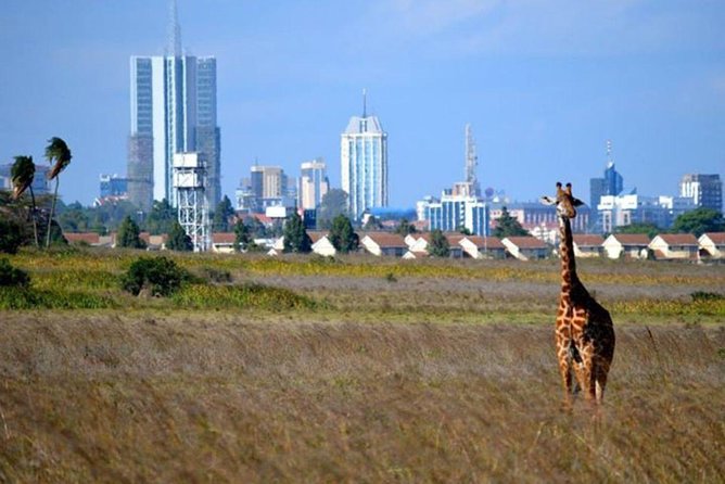 Early Nairobi Park Giraffe Centre and Optional Elephant Orphanage - Seeing Nairobi National Park from the pop-up roof