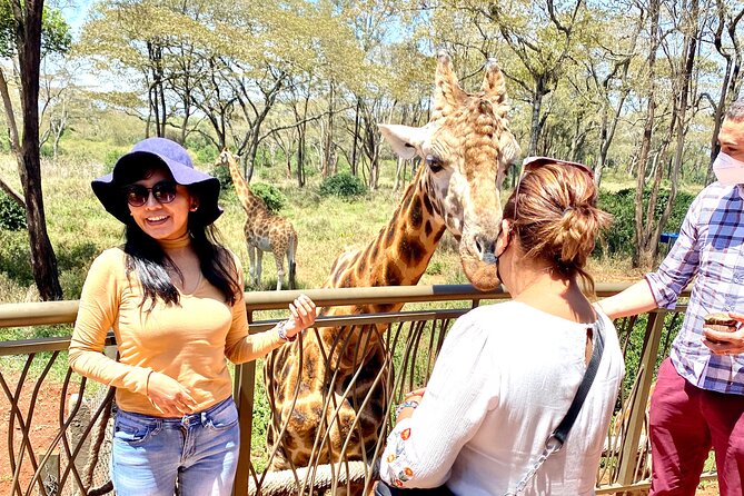 Elephant Orphanage and Giraffe Center Nairobi Day Tour - Private transport is the biggest practical advantage
