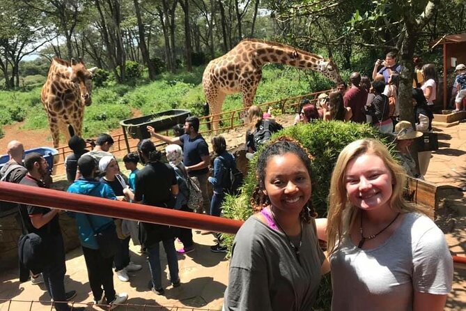 Elephant Orphanage and Giraffe Center Nairobi Day Tour - Is $194.81 per person a fair price?