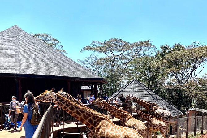 Elephant Orphanage and Giraffe Center Nairobi Day Tour - The tour’s conservation value
