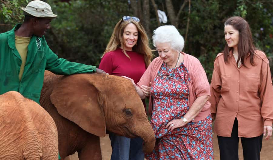 Elephant Orphanage,Giraffe Center&Karen Blixxen Day TripTour - Feeding giraffes at the Giraffe Center