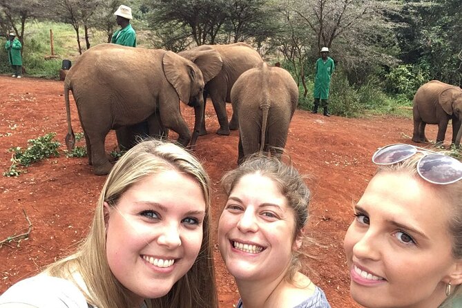 Elephant Orphanage, Giraffe Centre& optional Nairobi NationalPark - What the $95 Price Really Covers
