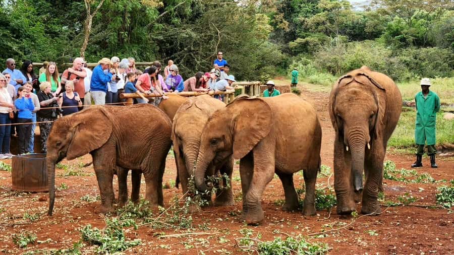 Elephant Orphanage Trust, Giraffes & Bomas of Kenya Day Tour - Kobe Beads and the people behind the craft
