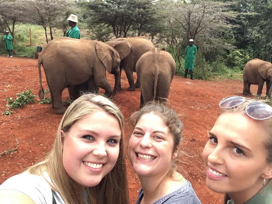 Elephant Orphanage Trust, Giraffes & Bomas of Kenya Day Tour - What the $123 price really covers