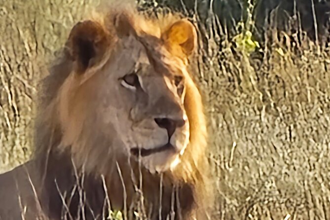 Elky Tours 2 Days Tsavo East Tour - The 6:00am pickup from Diani Beach
