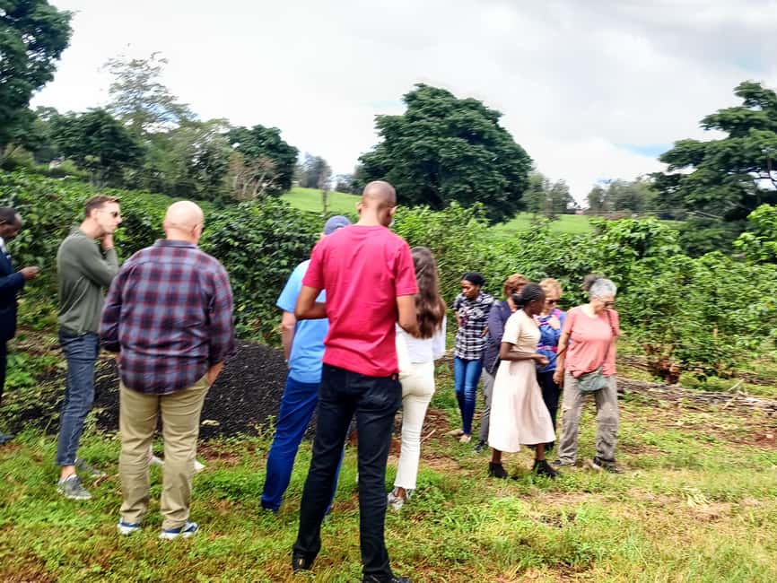 FAIRVIEW COFFEE FARM DAY TOUR - The short ride from Nairobi to Fairview