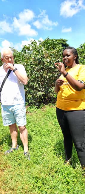 FAIRVIEW COFFEE FARM DAY TOUR - Who will enjoy Fairview most?