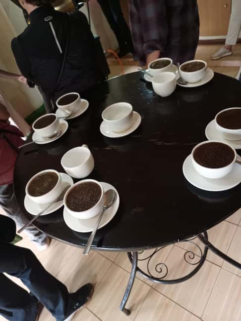 FAIRVIEW COFFEE FARM DAY TOUR - Walking through the coffee estate