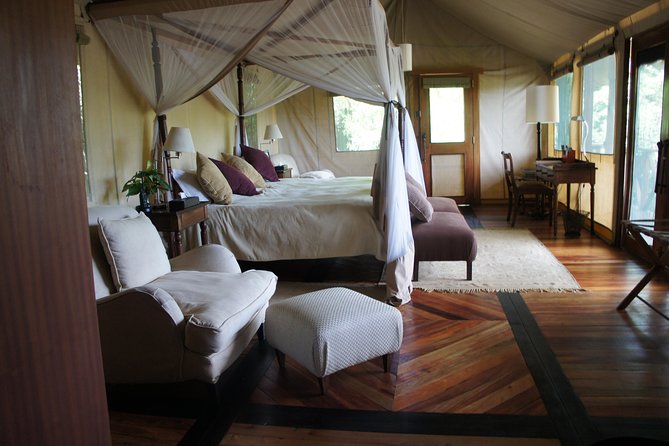 Family & Friends safari Full package . - Why this route works for a family trip