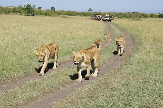 Family & Friends safari Full package . - Day 3: Lake Naivasha and Crescent Island