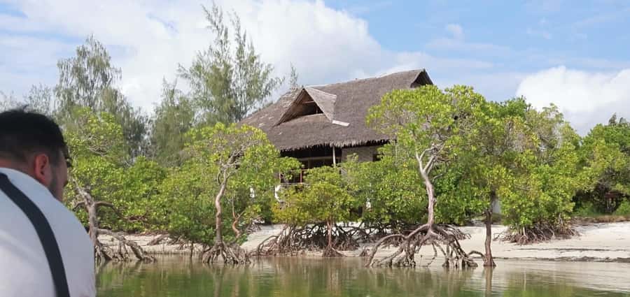 From Diani Beach: Funzi Island Full Day Excursion with Lunch - Who should book this day trip?