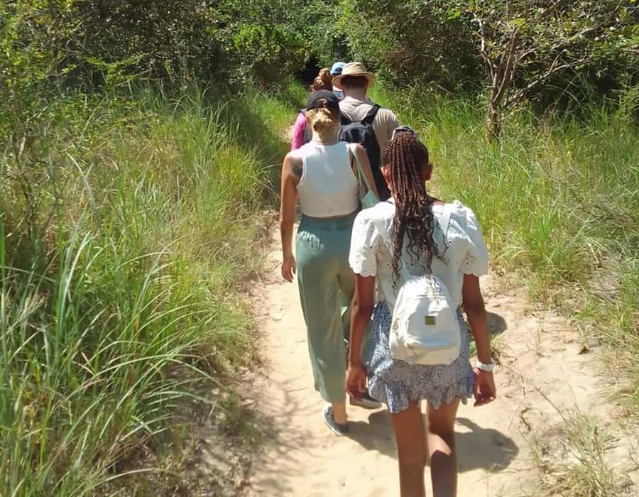 From Diani: Full Day Shimba hills tour with Sheldrick Falls - Why Shimba Hills makes a good day trip from Diani
