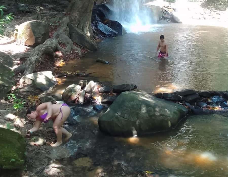 From Diani: Full Day Shimba hills tour with Sheldrick Falls - Two hours among sable antelope and elephants