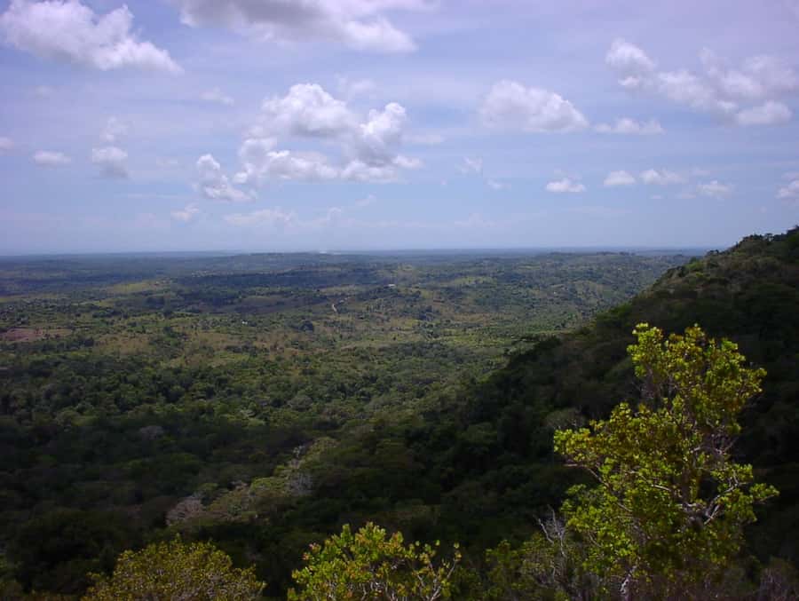From Diani: Full Day Shimba hills tour with Sheldrick Falls - The return to Diani and the real timing