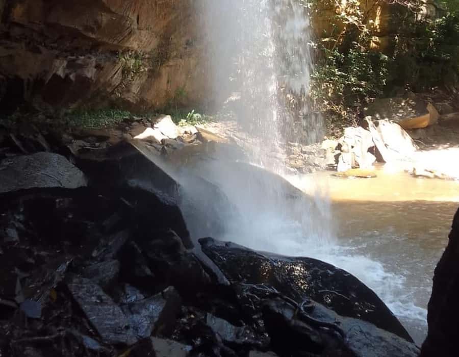From Diani: Full Day Shimba hills tour with Sheldrick Falls - Is $208 per person fair value?