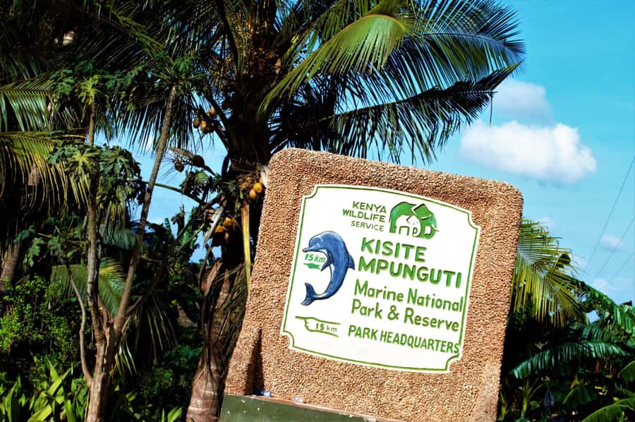 From Mombasa: Kisite Mpunguti Marine Park and Wasini Island - Why Kisite Marine Park is the main event