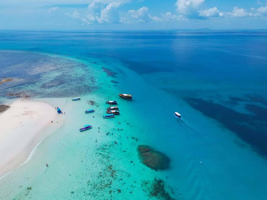 From Mombasa: Kisite Mpunguti Marine Park and Wasini Island - What the $135 price really covers