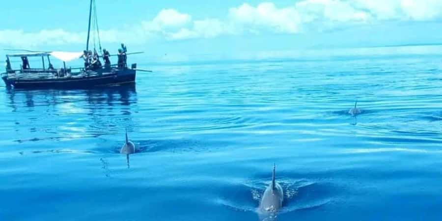 From Mombasa: Kisite Mpunguti Marine Park and Wasini Island - Guides, languages, and the level of care