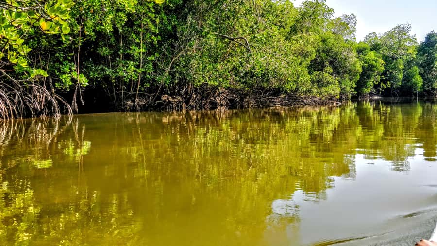 From Mombasa: Watamu Marine Park & Sudi Island Excursion - Key points to know before you book