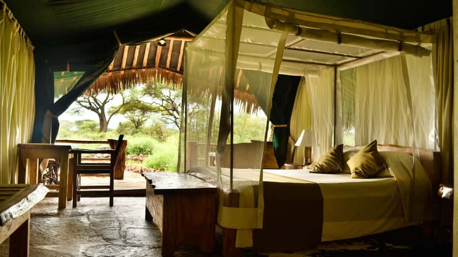 From Nairobi: 2-Day Amboseli National Park Safari - What makes this Amboseli safari worth considering