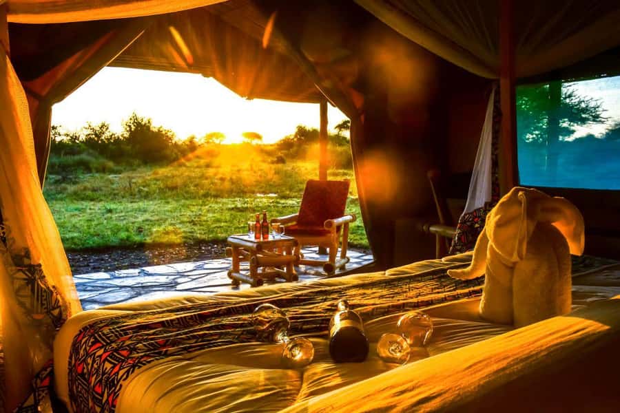 From Nairobi: 2-Day Naivasha Safari with Accommodation - Who Will Enjoy This Safari Most
