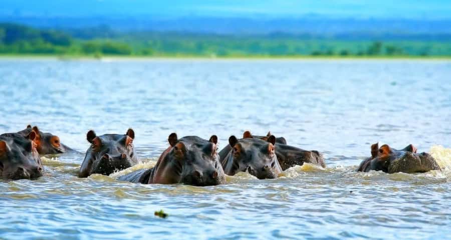 From Nairobi: 2-Day Naivasha Safari with Accommodation - Hell’s Gate: A Safari You Can Walk or Cycle