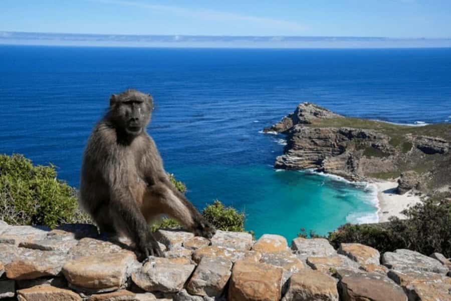 From Nairobi: 2-Day Naivasha Safari with Accommodation - Lunch and Lodge Time Near Lake Naivasha