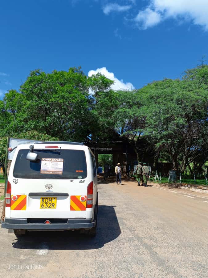 From Nairobi : 2-Days 1-Night Masai Mara Private 4WD Safari - Why this two-day safari can work from Nairobi