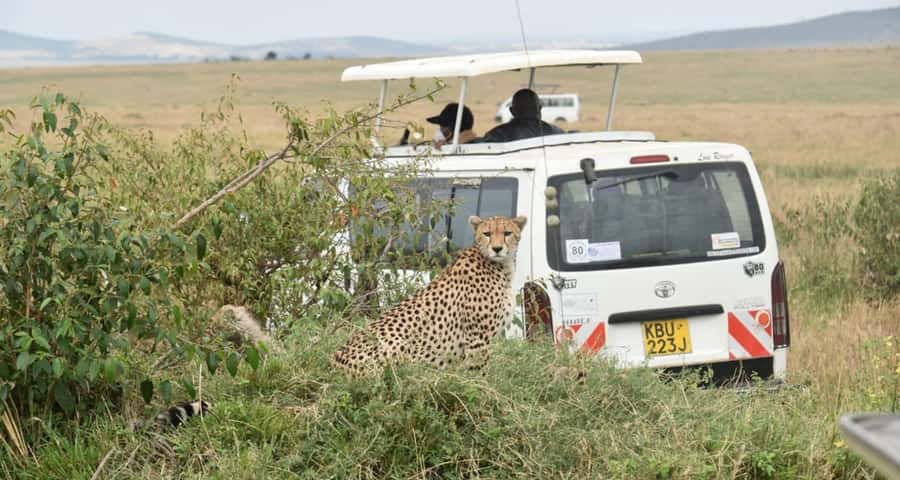 From Nairobi : 2-Days 1-Night Masai Mara Private 4WD Safari - Two ways to spend the first afternoon