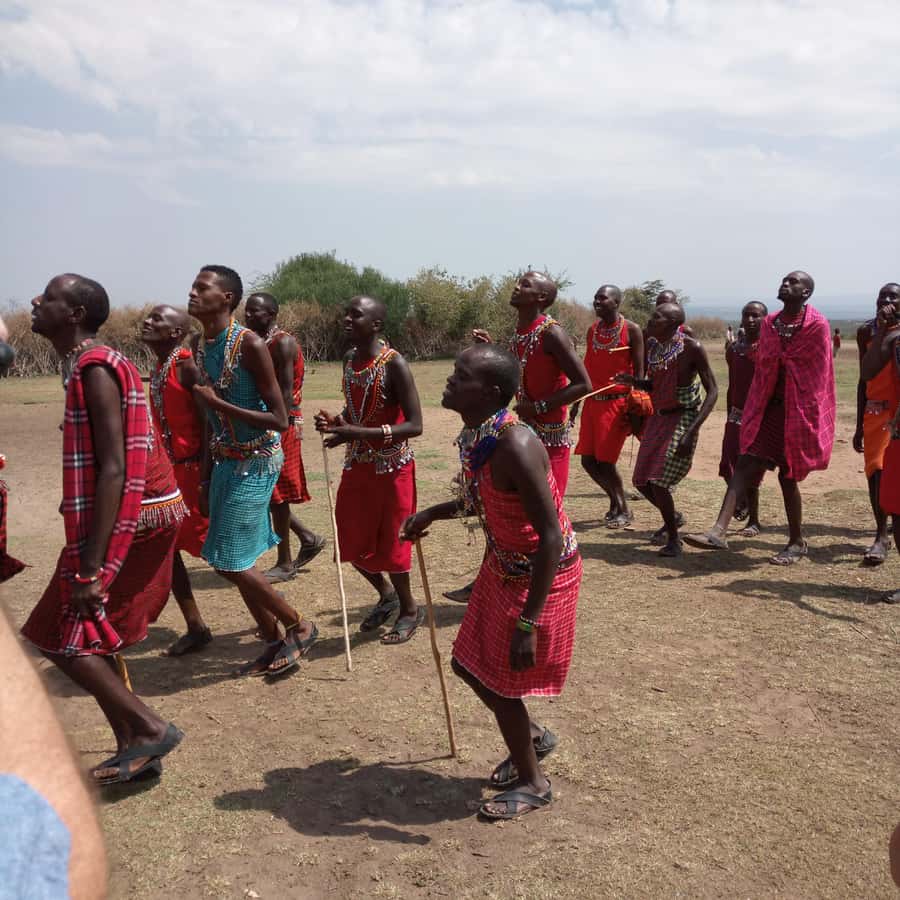 From Nairobi: 3 Days, 2 Nights Maasai Mara Group Safari - The return to Nairobi
