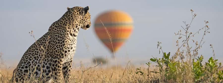 From Nairobi:3-Days 2-Nights Maasai Mara Group Safari in 4WD - Checking into a simple Mara camp