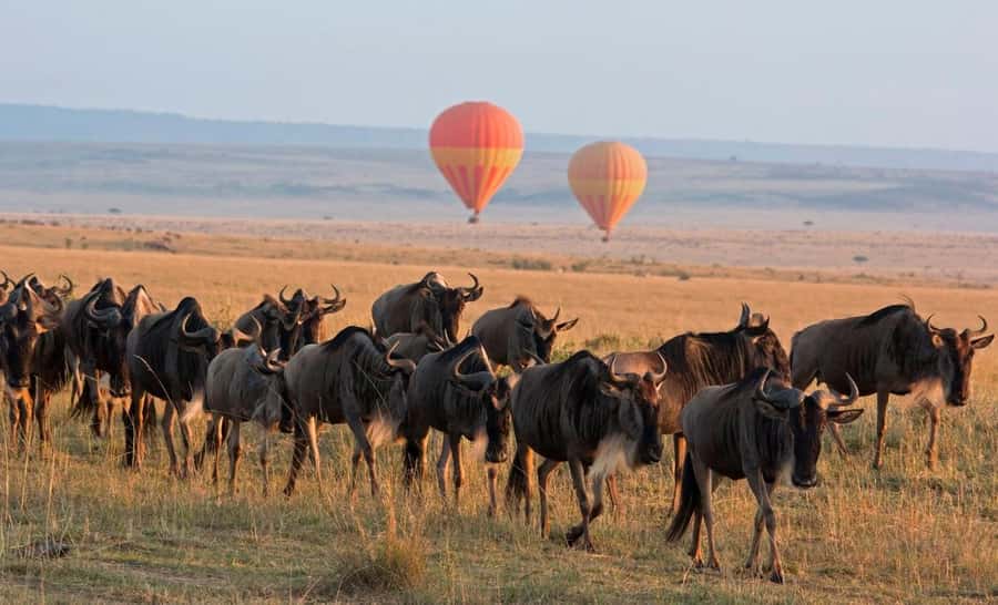 From Nairobi:3-Days 2-Nights Maasai Mara Group Safari in 4WD - Leaving Nairobi for the Rift Valley viewpoint