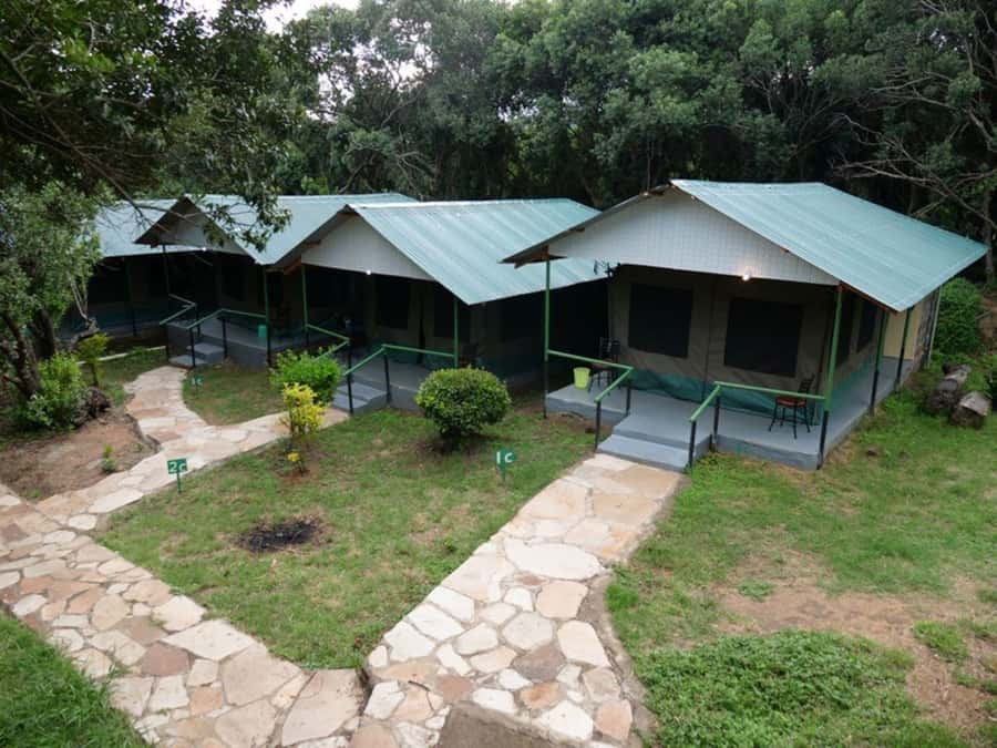 From Nairobi: 3 Days 2 Nights Masai Mara Group Safari - Two nights in a private safari tent