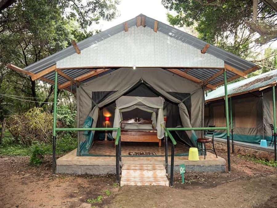 From Nairobi: 3 Days 2 Nights Masai Mara Group Safari - The migration, the Big Five, and realistic expectations
