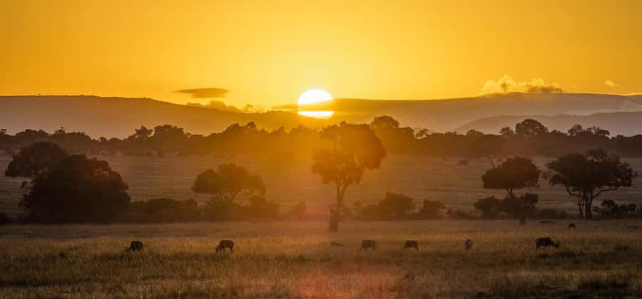 From Nairobi: 4-Day Maasai Mara and Lake Nakuru Group Safari - Key points to know before booking
