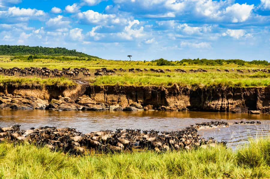 From Nairobi: Day Tour to Maasai Mara - Why this Maasai Mara day trip works for short visits