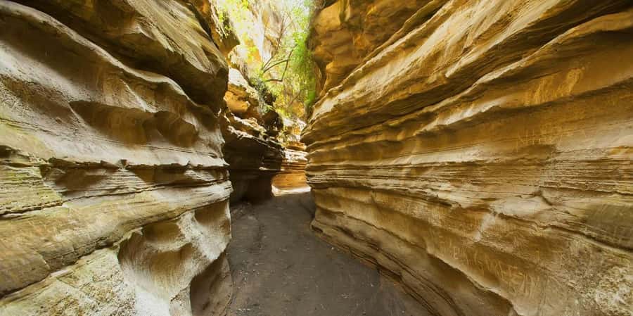 From Nairobi: Day Trip to Lake Naivasha and Hell's Gate - Key points to know before you book