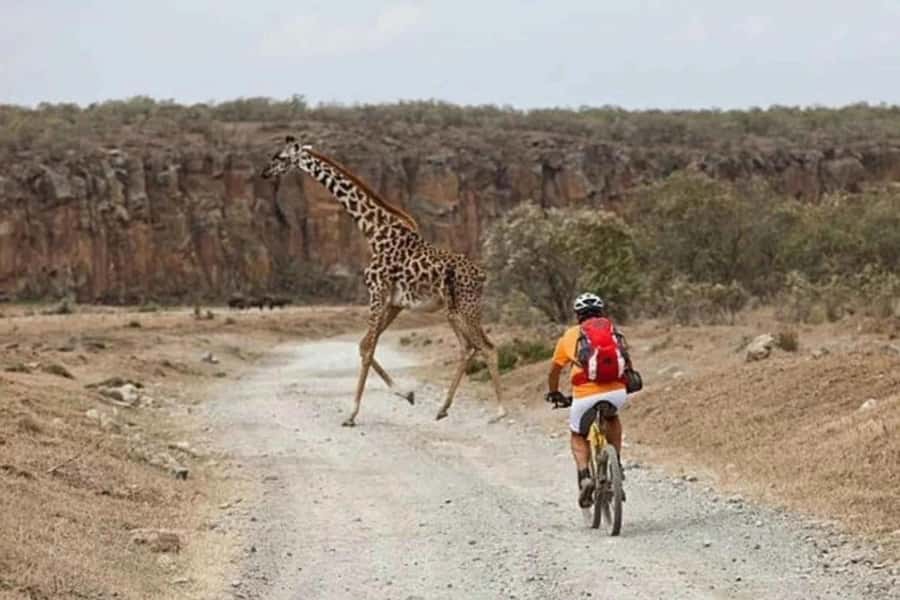 From Nairobi: Day Trip to Lake Naivasha and Hell's Gate - Cycling through Hell’s Gate National Park