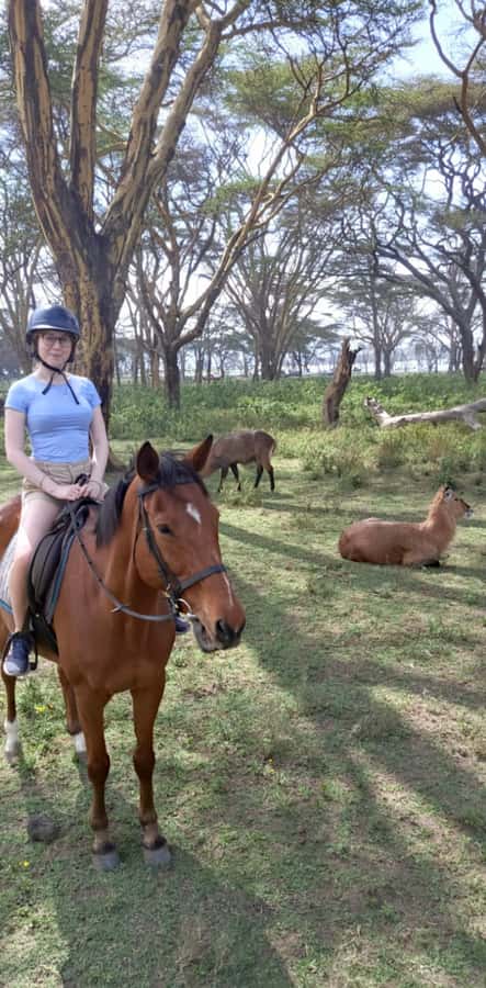 From Nairobi: Horseback Wildlife Safari with Transfer & Meal - What the $235 price really buys you