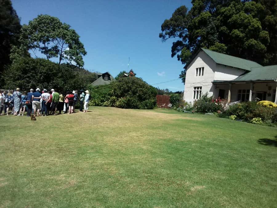 From Nairobi: Kiambethu Tea Farm Tour & Lunch - The plantation walk connects crops with history