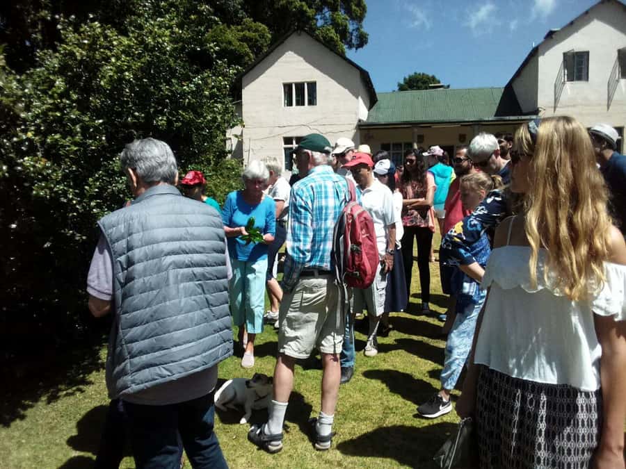 From Nairobi: Kiambethu Tea Farm Tour & Lunch - What the $160 price really covers