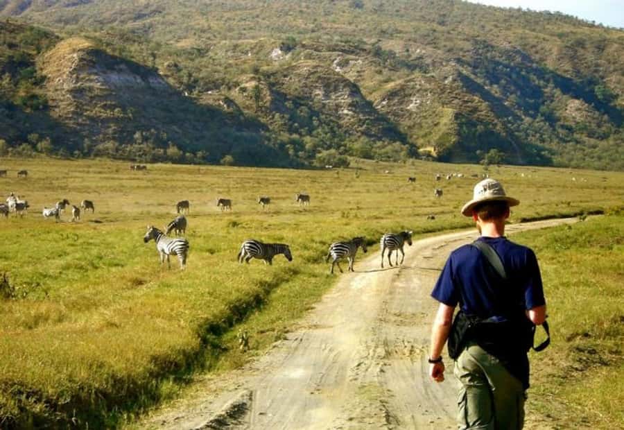 From Nairobi: Lake Naivasha and Hell's Gate Park Day Tour - Key Details Before You Book