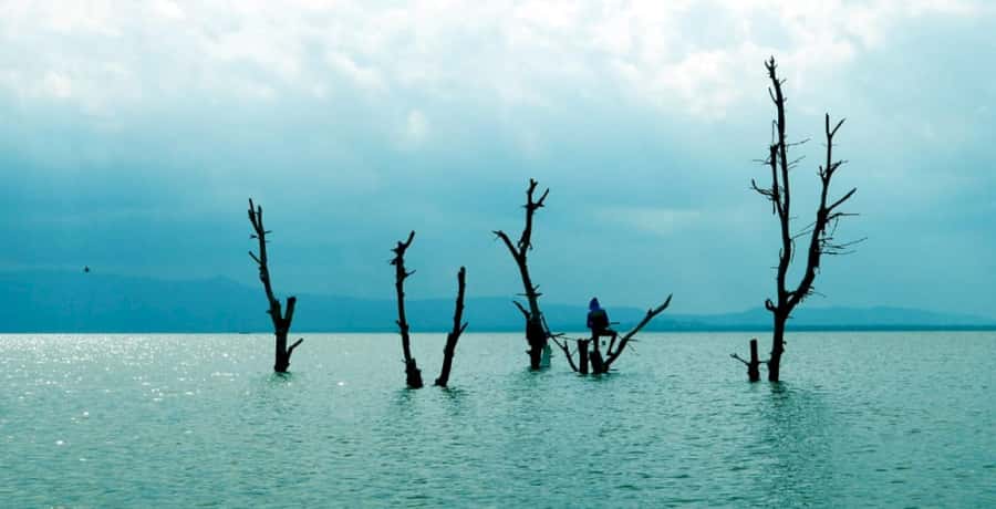 From Nairobi: Lake Naivasha and Hell's Gate Park Day Tour - Lunch at Kifaru Restaurant or Marina Camp