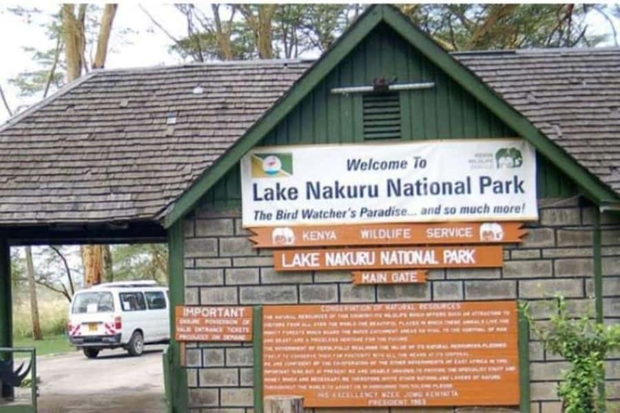 From Nairobi: Lake Nakuru National Park Full-Day Tour - Why Lake Nakuru makes sense as a Nairobi day trip