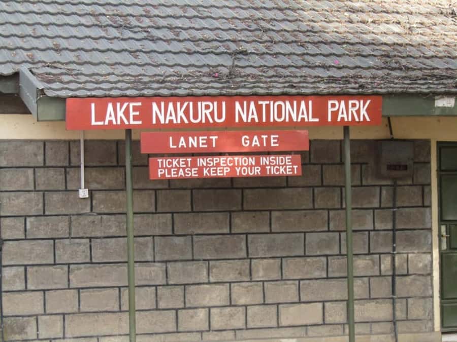 From Nairobi: Lake Nakuru National Park Full-Day Tour - The return drive and the eight-hour schedule