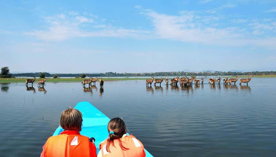 From Nairobi: Lakes Nakuru & Naivasha National Park Day Tour - Why this day trip works from Nairobi